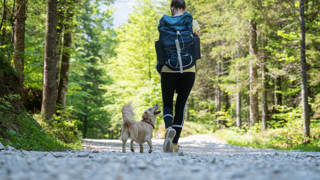 Putton Mill Fitness - Why Being Active Doesn’t Always Mean You’re Staying Strong After 40 Why Being Active Doesn’t Always Mean You’re Staying Strong After 40